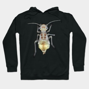 Barklouse (Psocidae)under the microscope Hoodie